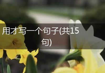 用才写一个句子(共15句)