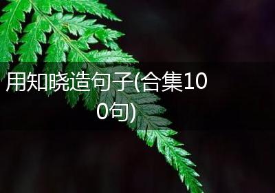 用知晓造句子(合集100句)