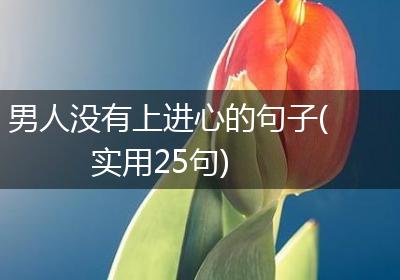 男人没有上进心的句子(实用25句)