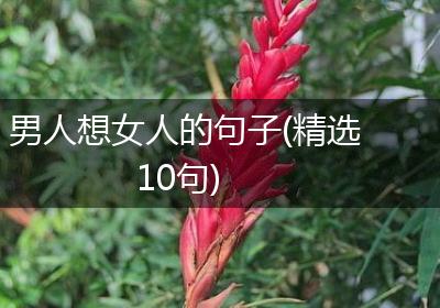 男人想女人的句子(精选10句)