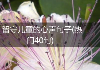 留守儿童的心声句子(热门40句)
