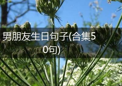 男朋友生日句子(合集50句)