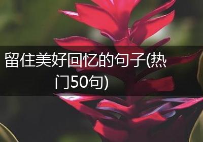 留住美好回忆的句子(热门50句)