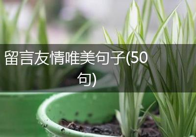 留言友情唯美句子(50句)