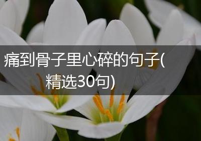 痛到骨子里心碎的句子(精选30句)