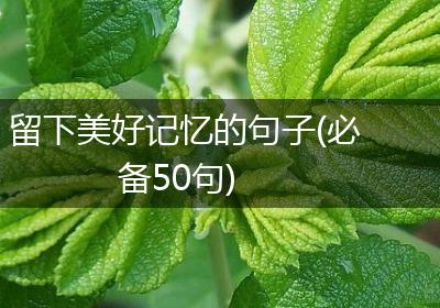 留下美好记忆的句子(必备50句)