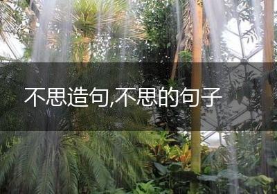不思造句,不思的句子