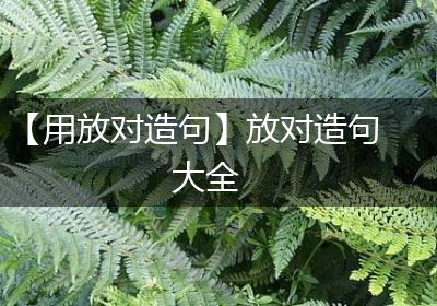 【用放对造句】放对造句大全