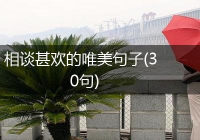 相谈甚欢的唯美句子(30句)