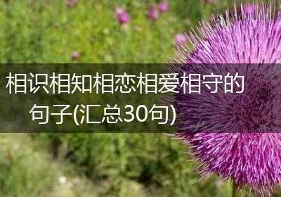 相识相知相恋相爱相守的句子(汇总30句)