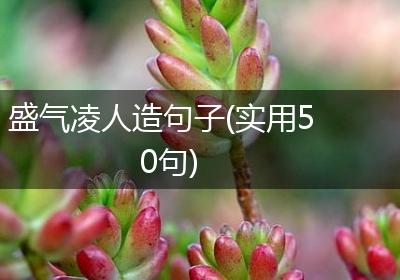 盛气凌人造句子(实用50句)