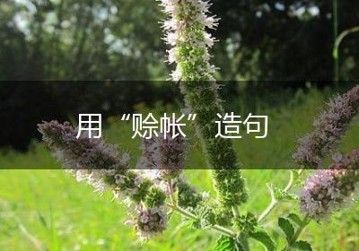用“赊帐”造句