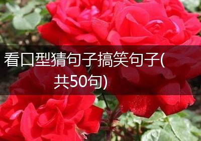 看口型猜句子搞笑句子(共50句)