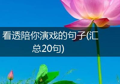 看透陪你演戏的句子(汇总20句)