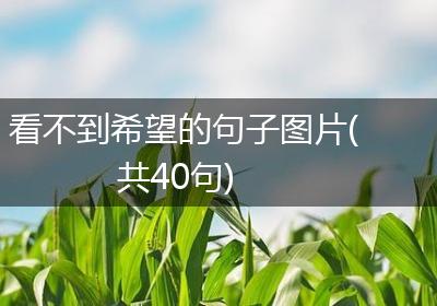 看不到希望的句子图片(共40句)