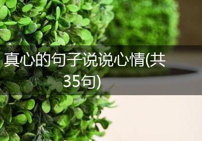 真心的句子说说心情(共35句)