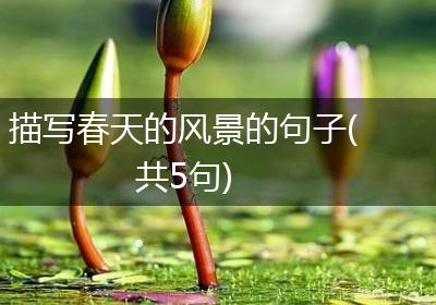 描写春天的风景的句子(共5句)