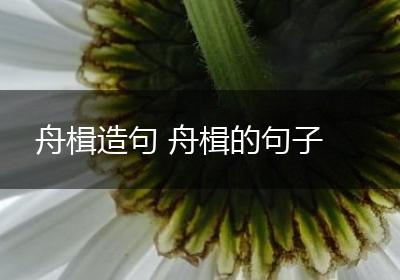 舟楫造句 舟楫的句子