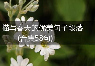描写春天的优美句子段落(合集58句)