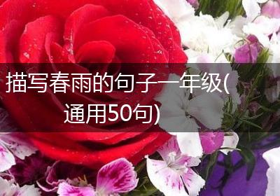 描写春雨的句子一年级(通用50句)