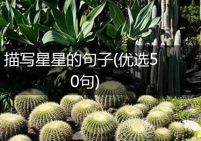 描写星星的句子(优选50句)