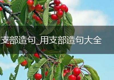 支部造句_用支部造句大全