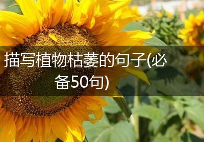 描写植物枯萎的句子(必备50句)