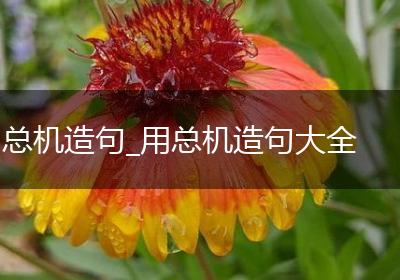 总机造句_用总机造句大全