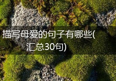 描写母爱的句子有哪些(汇总30句)