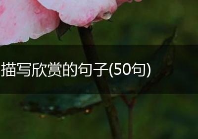 描写欣赏的句子(50句)