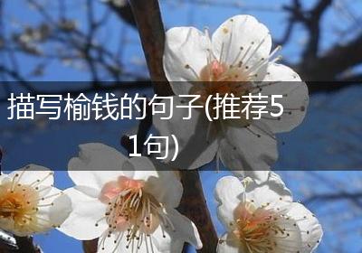 描写榆钱的句子(推荐51句)