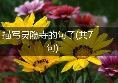 描写灵隐寺的句子(共7句)