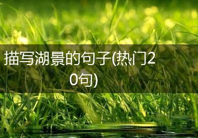 描写湖景的句子(热门20句)