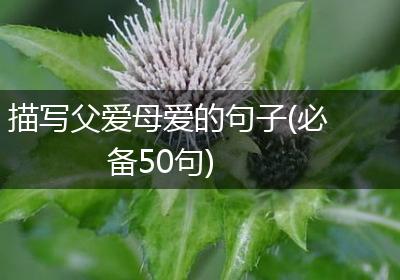 描写父爱母爱的句子(必备50句)