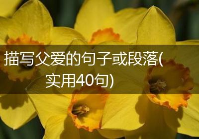 描写父爱的句子或段落(实用40句)