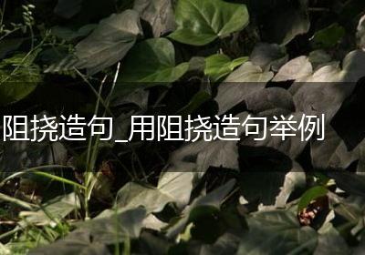 阻挠造句_用阻挠造句举例