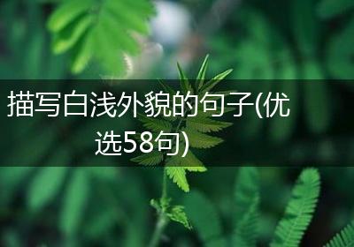 描写白浅外貌的句子(优选58句)