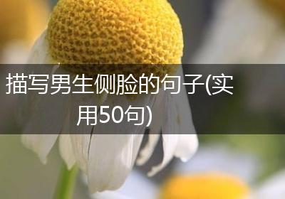 描写男生侧脸的句子(实用50句)
