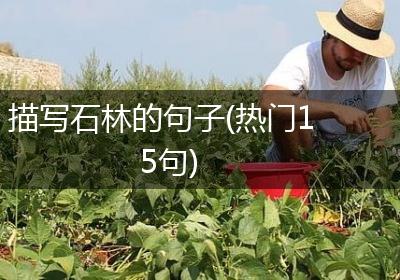 描写石林的句子(热门15句)