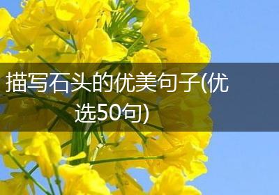 描写石头的优美句子(优选50句)