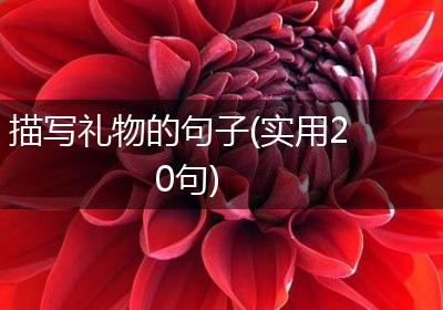 描写礼物的句子(实用20句)