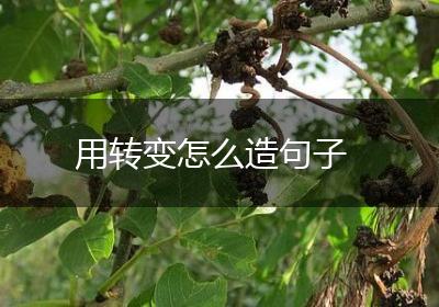 用转变怎么造句子