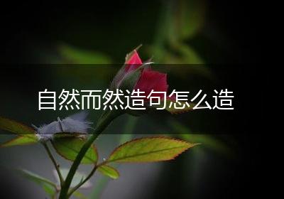 自然而然造句怎么造