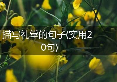 描写礼堂的句子(实用20句)