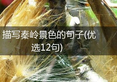 描写秦岭景色的句子(优选12句)