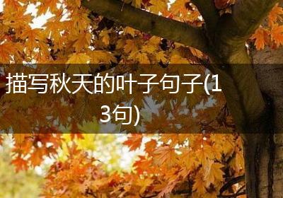 描写秋天的叶子句子(13句)