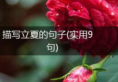 描写立夏的句子(实用9句)