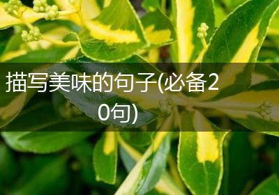 描写美味的句子(必备20句)
