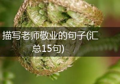 描写老师敬业的句子(汇总15句)