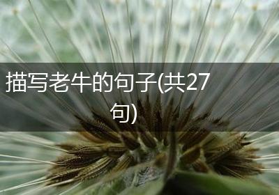 描写老牛的句子(共27句)